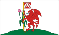 Cardiff (Wales), flag - vector image