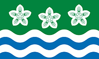 Cumberland (former county in England), flag - vector image