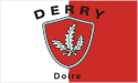 Derry (Ireland), GAA flag