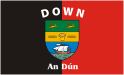 Down county (Ireland), GAA flag