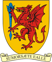 Somerset (county in England), coat of arms - vector image