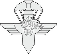 Italian Special Intervention Group (GIS), emblem