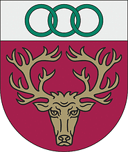 Vector clipart: Aknīste municipality (Latvia), coat of arms