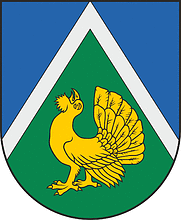 Dundaga municipality (Latvia), coat of arms