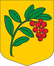 Mētriena parish (Latvia), coat of arms - vector image