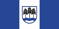 Vector clipart: Ogre municipality (Latvia), flag