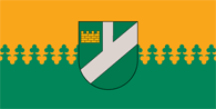 Флаг города Плявиняс