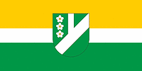 Vector clipart: Pļaviņas municipality (Latvia), flag