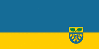 Vector clipart: Rucava municipality (Latvia), flag
