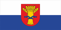 Rūjiena municipality (Latvia), flag - vector image