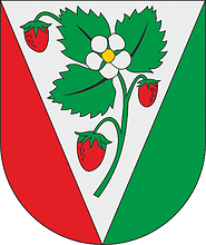 Vector clipart: Sala municipality (Latvia), coat of arms