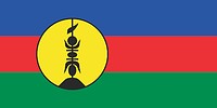 New Caledonia, flag (2010, Kanak Flag) - vector image