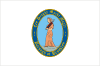 Brooklyn (borough in New York City), flag - vector image