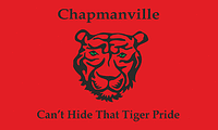 Vector clipart: Chapmanville (West Virginia), flag
