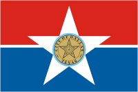 Dallas (Texas), flag - vector image