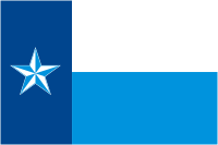 Dallas (county in Texas), flag