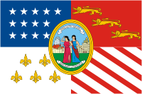 Detroit (Michigan), flag - vector image
