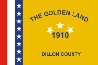 Диллон (графство в Южной Каролине), флаг - векторное изображение