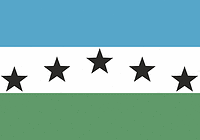 Firestone (Colorado), flag - vector image