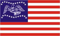 Фремонт (Калифорния), неофициальный флаг