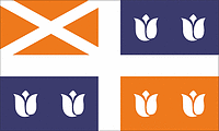 Векторный клипарт: Холланд (Мичиган), флаг