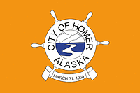 Homer (Alaska), flag