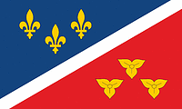 Metairie (Louisiana), flag - vector image