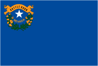 Nevada, flag - vector image