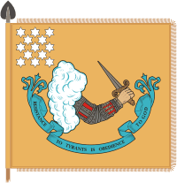 U.S. Revolutionary Battle Flag (1776) - vector image