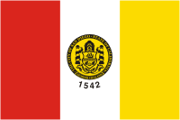 Сан-Диего (Миссиссиппи), флаг - векторное изображение