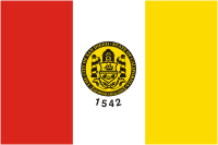 San Diego (California), flag - vector image