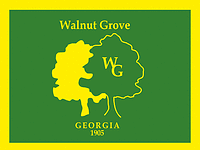 Вэлнут-Гроув (Джорджия), флаг - векторное изображение