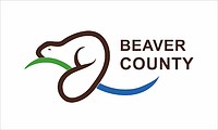 Beaver county (Alberta), flag - vector image
