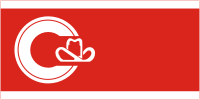 Calgary (Canada), flag - vector image