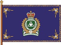 Delta Police Department (British Columbia), flag