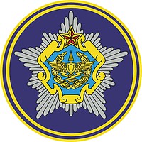 Belorussian Air Force and Troop Air Defense, sleeve insignia