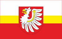 Brzesko county (Poland), flag - vector image