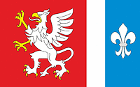 Dębica county (Poland), flag - vector image