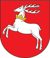 Lubelskie voivodeship (Poland), coat of arms - vector image