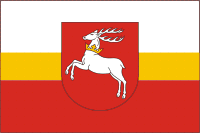 Lubelskie voivodeship (Poland), flag - vector image