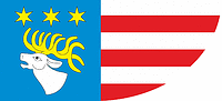 Vector clipart: Ryki county (Poland), flag
