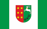 Stalowa Wola county (Poland), flag - vector image
