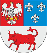 Turek county (Poland), coat of arms - vector image