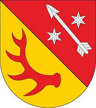 Vector clipart: Żary county (Poland), coat of arms