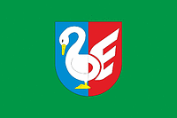 Zbąszynek (Poland), flag