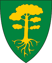 Beiarn (Norwegen), Wappen