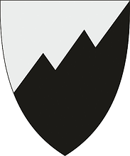 Berg (Norway), coat of arms - vector image