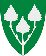 Birkenes (Norway), coat of arms - vector image