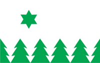 Avinorme (Estonia), flag