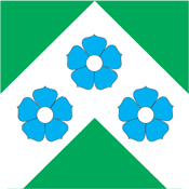 Mooste (Estonia), flag